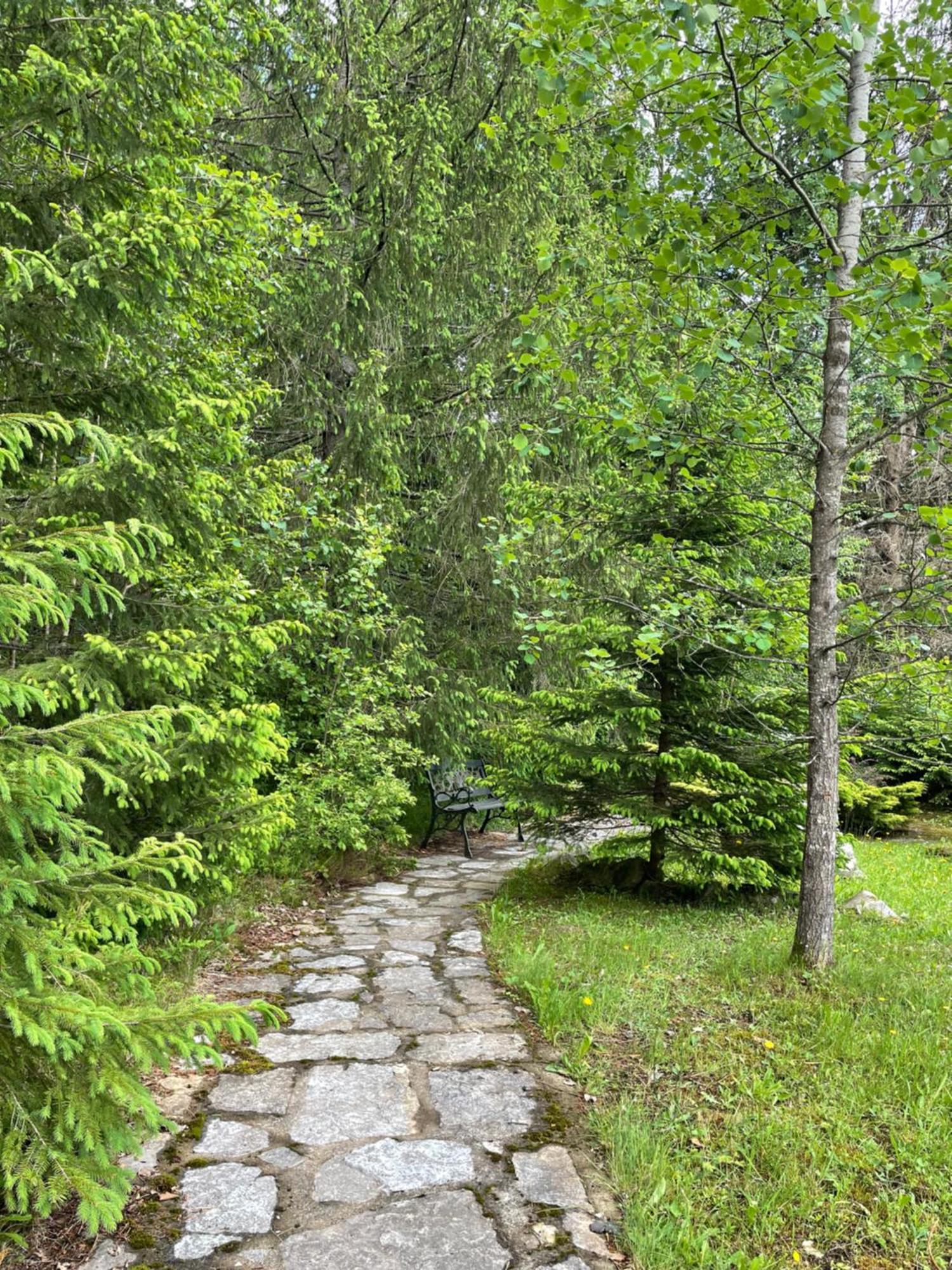 Relaxation In Guta Гута Покращене Шале Luaran gambar